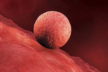 2026柳州试管婴儿医院排名，附成功率及费用介绍