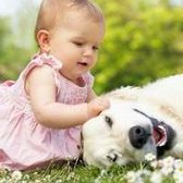 为什么夫妻双方检查都没有问题但是试管一次都不成功？