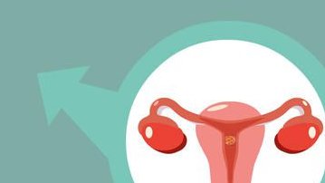 试管婴儿取精量少看过来！药物、手术治疗帮你解决难题