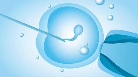 有没有50岁高龄通过自卵做试管婴儿成功的案例？